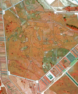 CIR-Luftbildmosaik mit eingezeichneten Biotopgrenzen