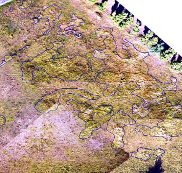 Ausschnitt aus Kleinluftbild-Mosaik mit kartierten Bestandsgrenzen von Calamagrostis-Dominanzbeständen